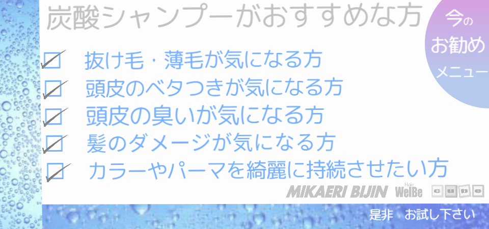 みかえりびじん　炭酸シャンプー