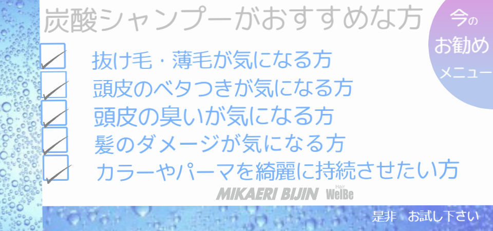 みかえりびじん　炭酸シャンプー