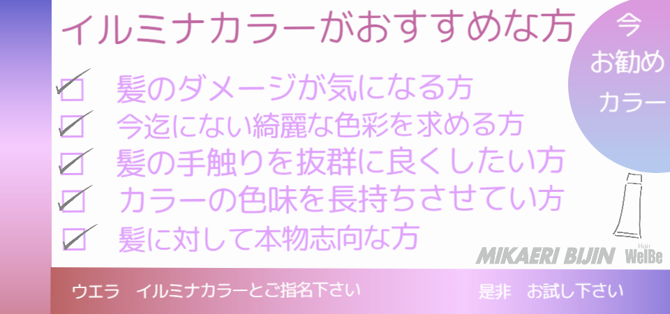みかえりびじん イルミナカラー