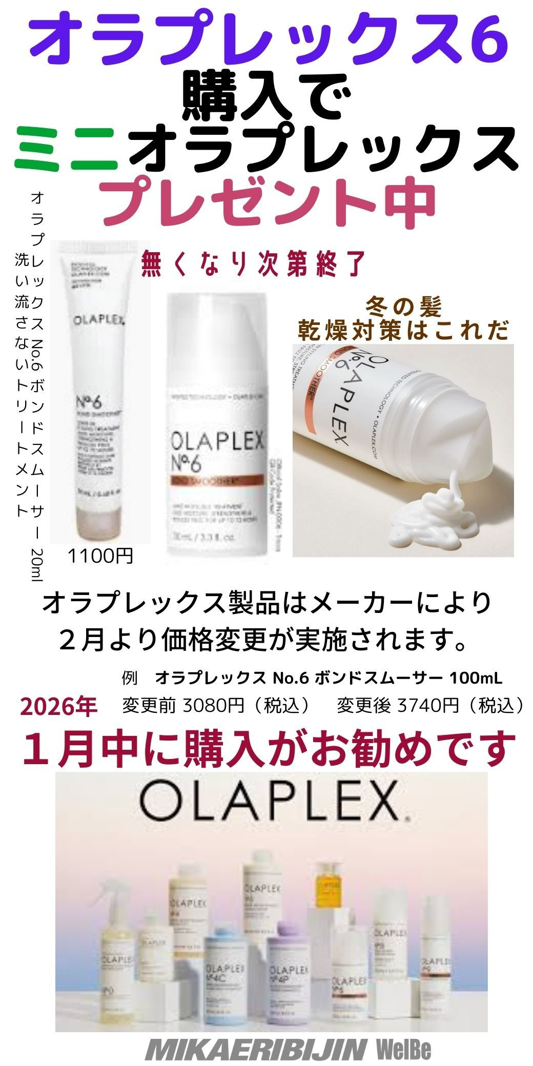 みかえりびじん　